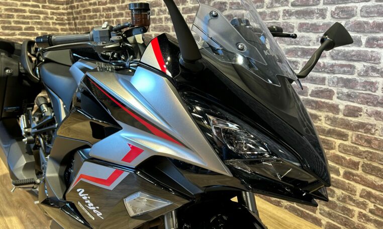 ninja-kawasaki-5