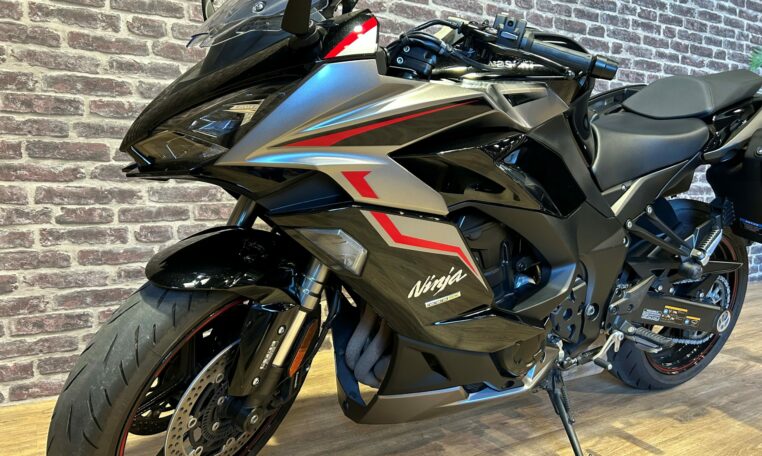 ninja-kawasaki-9