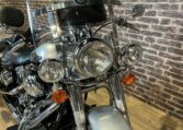 softail5
