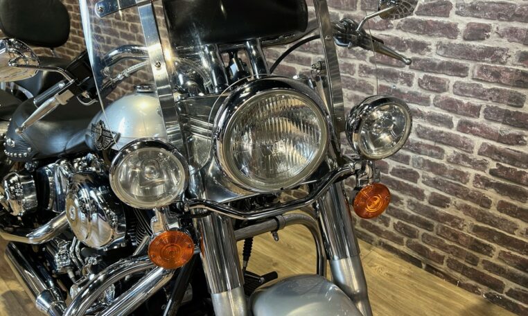 softail5