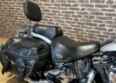 softail6